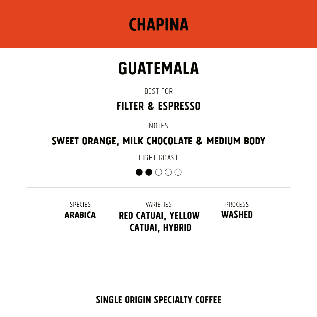 Chapina